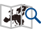 Show Map